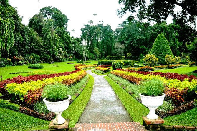 Private Kandy Day Tour from Colombo - Is $75 per person good value?