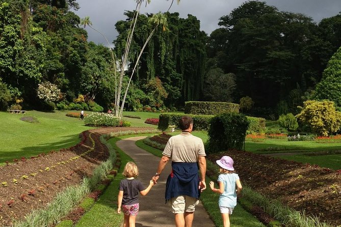 Private Kandy Day Tour from Colombo - The Temple of the Sacred Tooth Relic