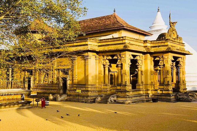Private Night Tour in Colombo with Street Food Tasting - Dutch Hospital: Colombo’s colonial past meets evening dining