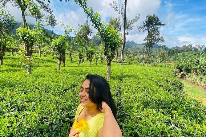 Private Ravana Falls and Nine Arches Bridge Ella Tour from Galle - Little Adam’s Peak at 5:30 pm