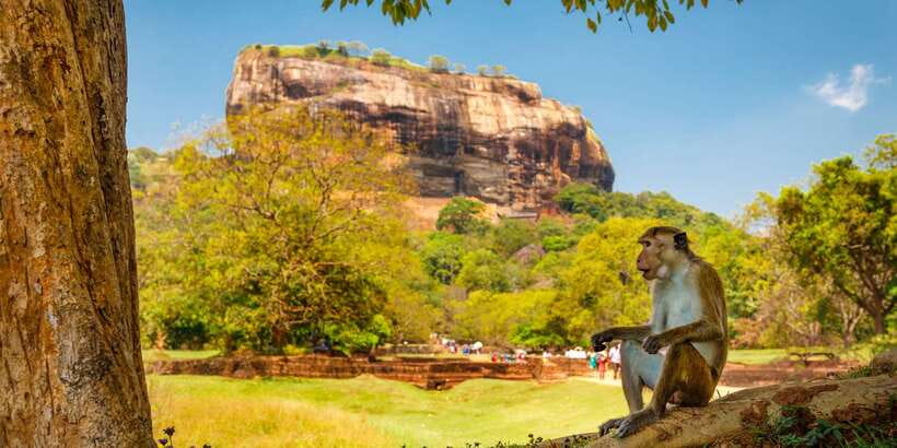 Private Sigiriya and Dambulla Day Tour from Colombo - Dambulla’s painted cave temples