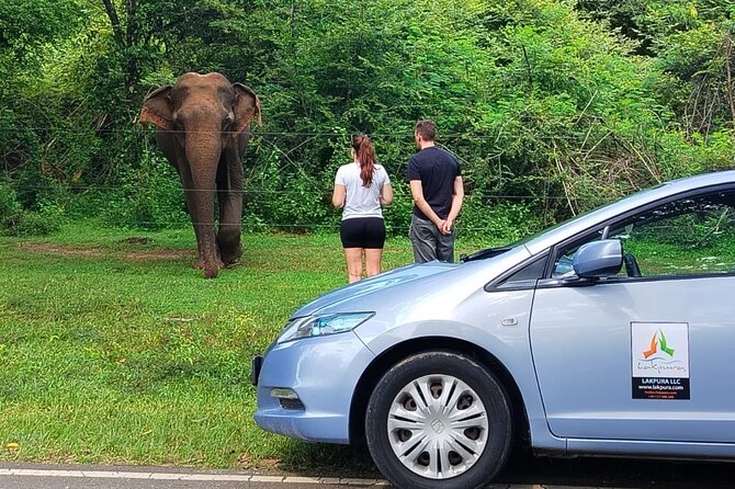 Private Tour from Weligama to Ella with Udawalawe Safari - Is $112 per person good value?
