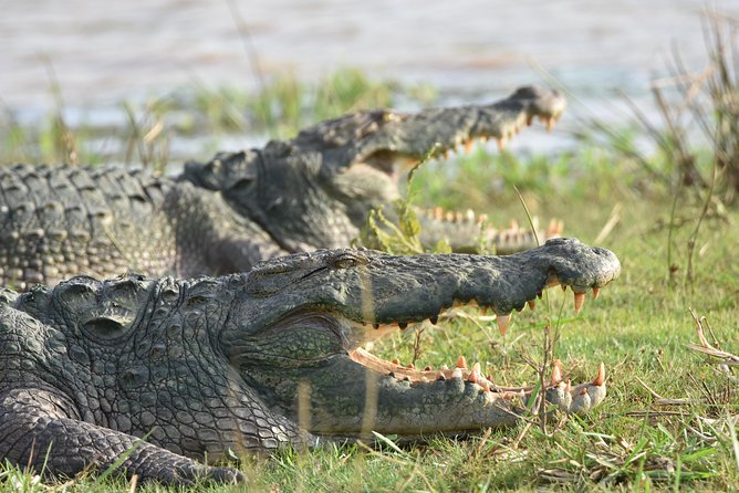 Private Tour : YALA National Park with Experienced Driver and Guide - Pickup, transport, and practical comfort