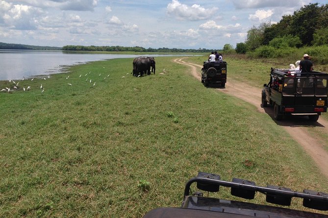 Private Trip to Sigiriya, Dambulla & safari from Colombo/ Negombo - The long road is part of the deal