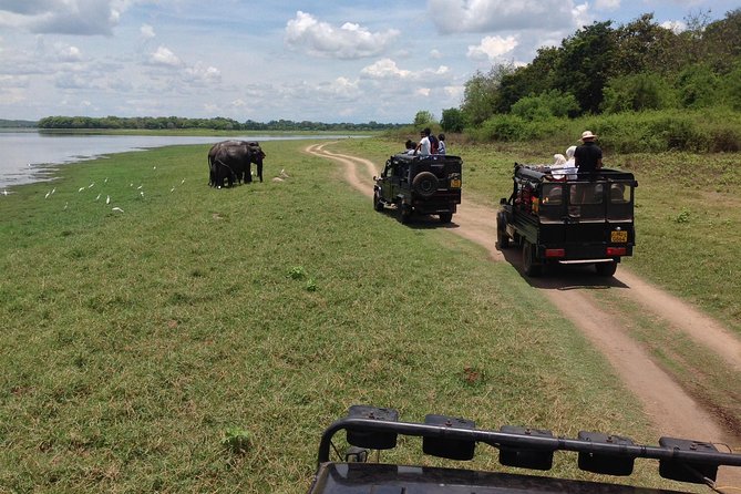 Private Trip to Sigiriya, Dambulla & safari from Colombo/ Negombo - Drivers can shape the whole experience