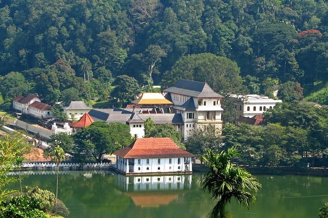 Private Tuk Tuk Tour of Kandy City & Surroundings - Pilimathalawa tea factory: a short look at production