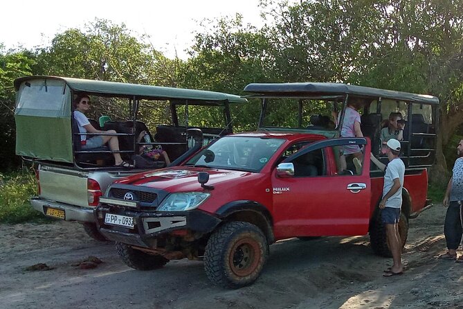 Private Wilpatu National Park Leopard safari from Colombo/Negambo - Why Wilpattu is worth the long road from Colombo