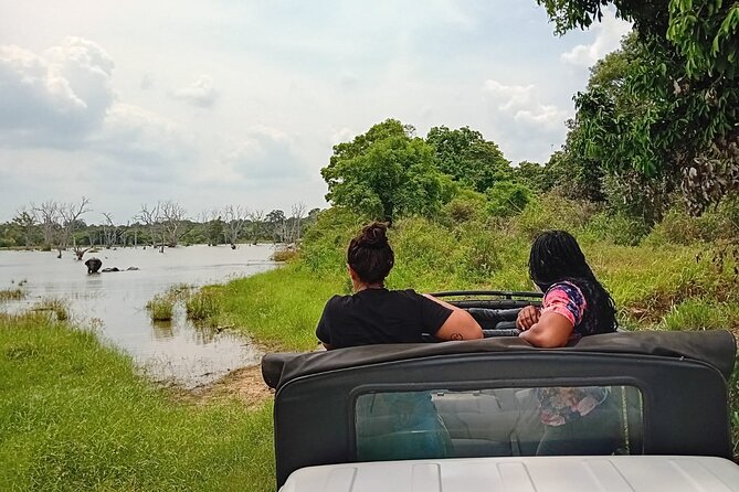 Private Wilpatu National Park Leopard safari from Colombo/Negambo - How the timing affects your day