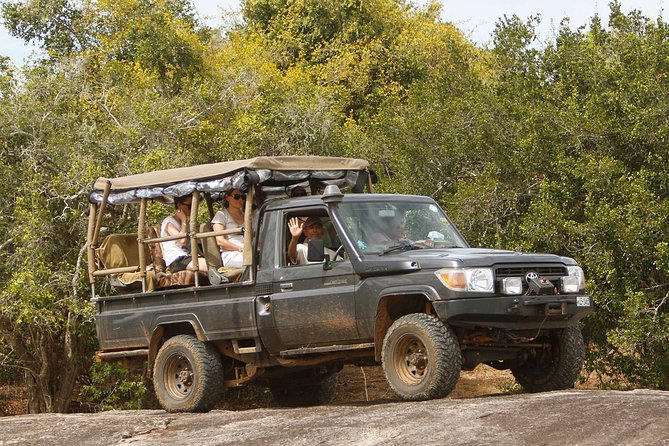 Private Yala Safari Day Trip & Exclusive Beach BBQ Dinner - What this Yala and beach combination gets right