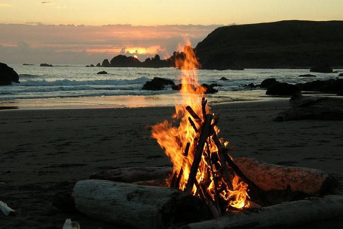 Private Yala Safari Day Trip & Exclusive Beach BBQ Dinner - Three hours among Yala’s elephants and leopards