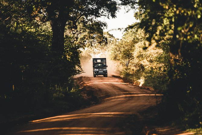 Private Yala Safari Day Trip & Exclusive Beach BBQ Dinner - Is $180 a fair price?