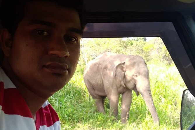Rangiri Jeep Safari Sigiriya Lion Rock & Evening Jeep Safari - Why the private Jeep matters