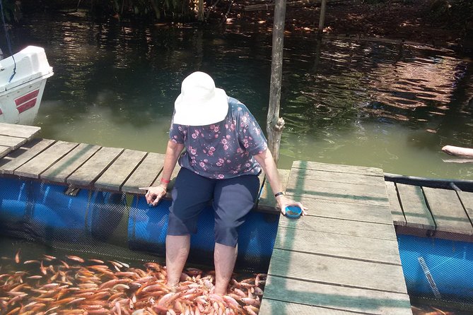 River Safari Bentota - What Makes Gayan Important