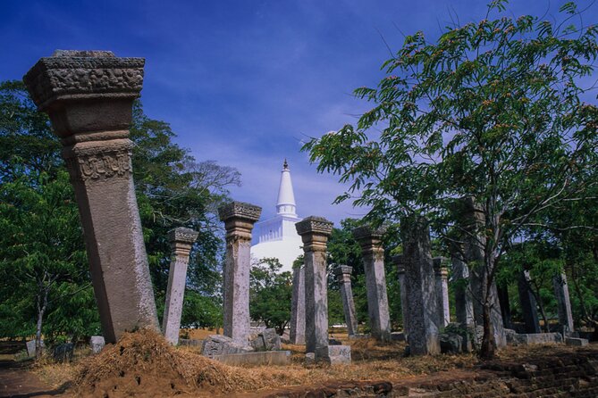 Sacred City of Anuradhapura from Colombo - Isurumuniya Temple and its carved stonework