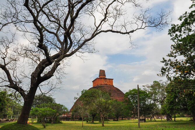 Sacred City of Anuradhapura from Colombo - Thuparamaya and the ring of stone pillars