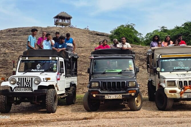 Safari Adventure in Minneriya national Park Sri Lanka - What the Minneriya safari is really like