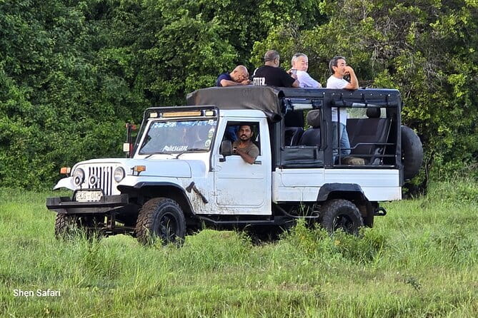 Safari Adventure in Minneriya national Park Sri Lanka - Inside Minneriya National Park