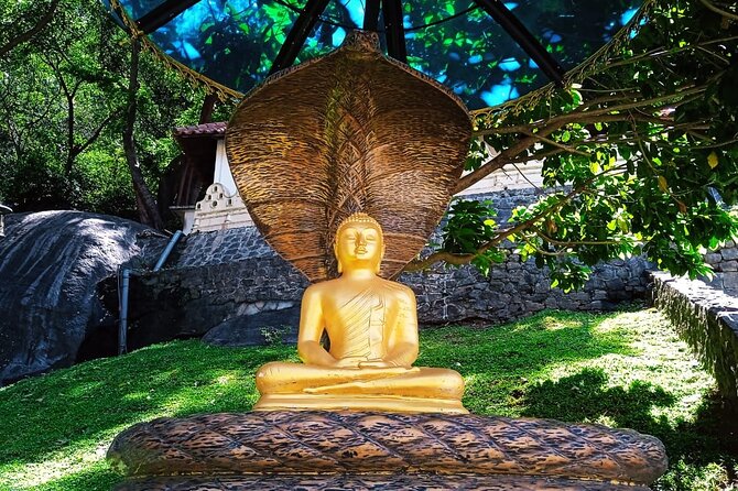 Safari Day Tour to Sigiriya Lion Rock and Golden Cave Temple - Optional village and safari additions