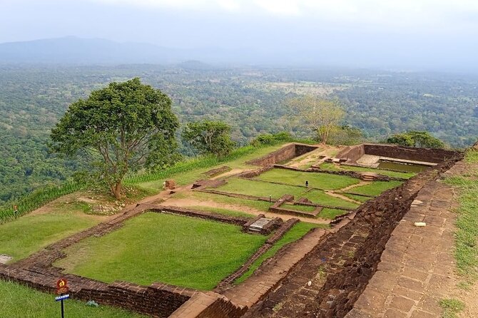 Safari Day Tour to Sigiriya Lion Rock and Golden Cave Temple - Is the $45 price good value?