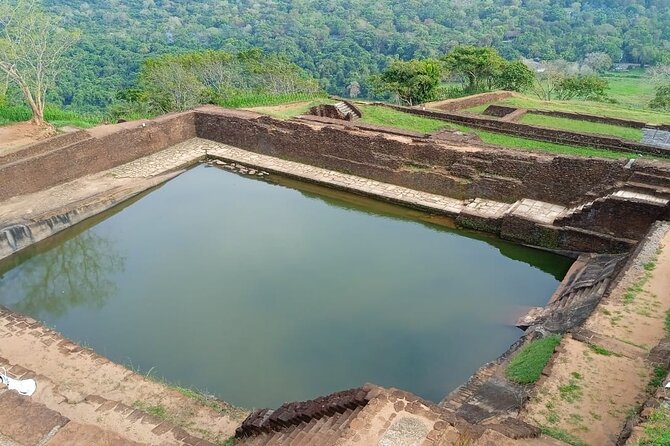 Safari Day Tour to Sigiriya Lion Rock and Golden Cave Temple - Who should book this day tour?