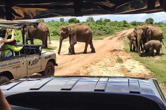 Safari Expedition's in Wild Wonders of Yala - The bumpy jeep ride is part of the bargain
