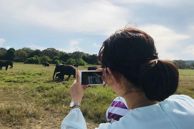 Safari Tour at Minneriya National Park - Why Minneriya is such a strong elephant stop