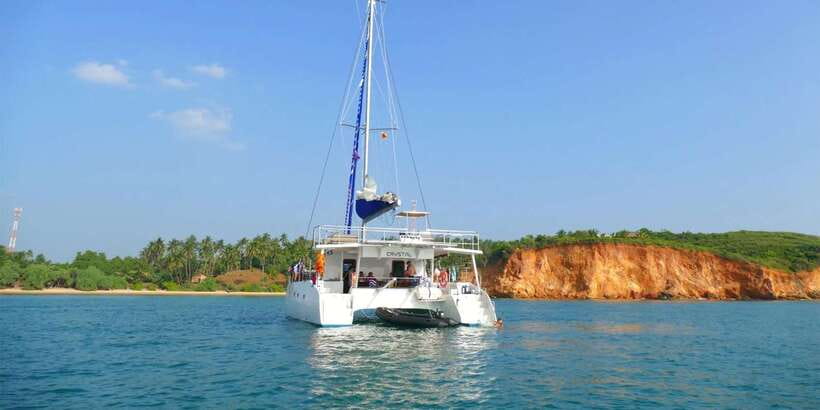 Sail Lanka Charter - Whale Watching Cruise In Mirissa - Watching Whales and Dolphins From the Bow