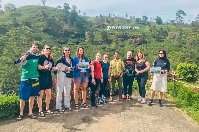 Scenic Road Trip to Ella from Kandy (Group) - Why this road trip makes sense between Kandy and Ella