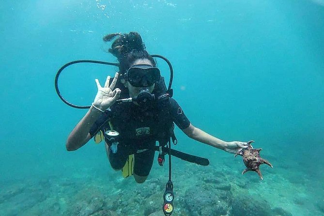 Scuba Diving at Unawatuna - The first hour: theory before the water