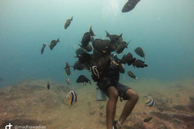 Scuba Diving at Unawatuna - What the four-hour schedule really means