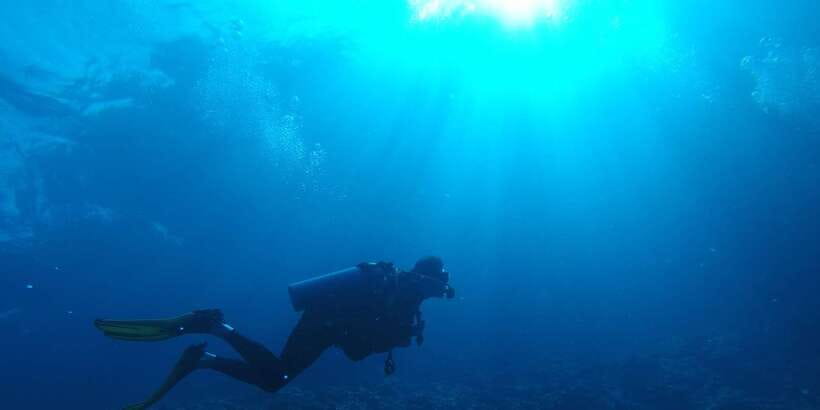 Scuba Diving in Colombo - Why Colombo’s wreck sites are worth your time