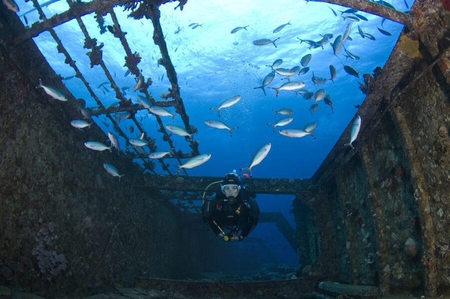 Scuba Diving in Colombo - Is $174 a fair price?
