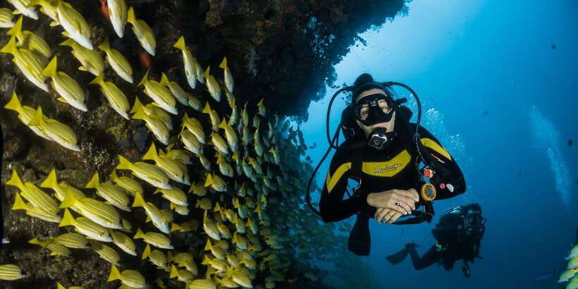 Scuba Diving in Hikkaduwa - The best season and useful preparation