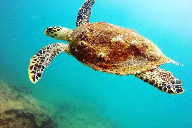 Scuba Diving in Mirissa - Safety and instruction for first-timers