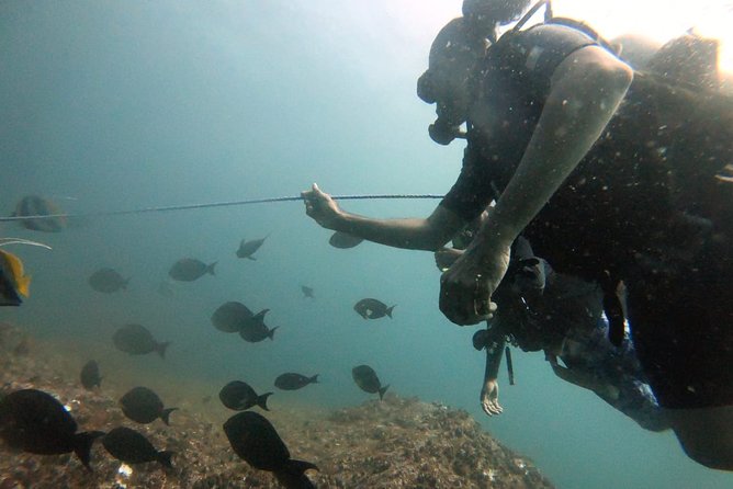 Scuba Diving in Mirissa - Booking advice and useful preparation