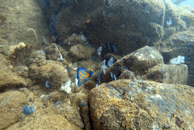 Scuba Diving in Mirissa - Pickup from Mirissa and the start of the session