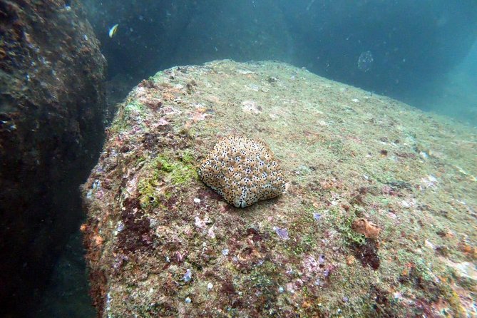 Scuba Diving in Unawatuna - The Unawatuna Beach itinerary, step by step