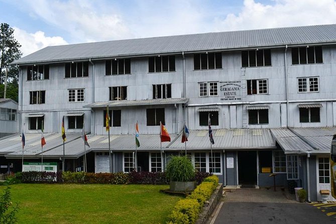 Shore Excursion Colombo Port to Kandy & Tea Factory - Key points to know before you book