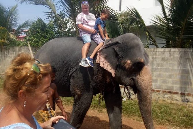 Shore Excursion From Colombo port to Ingiriya Tea Plantation & back for 2 People - What the Ceylon tea stop may include