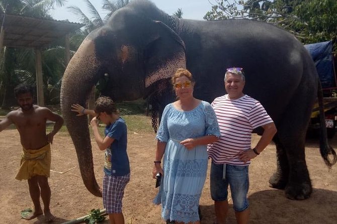 Shore Excursion From Colombo port to Ingiriya Tea Plantation & back for 2 People - Colombo sights add interest on the way back