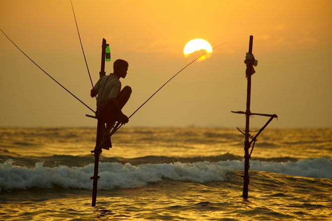 Shore Excursion to Colombo City Tour & Kelaniya Temple for 2 People - Timing, pace, and what you should expect