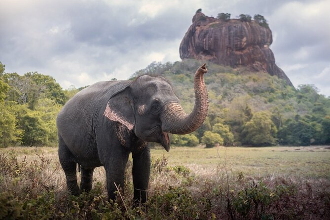 Sigiriya and Dambulla Cave Temple Private Day Trip From Bentota - Setting out before the heat