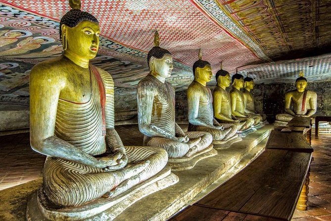 Sigiriya and Dambulla Day Tour from Bentota (All Inclusive) - What the $230 price includes
