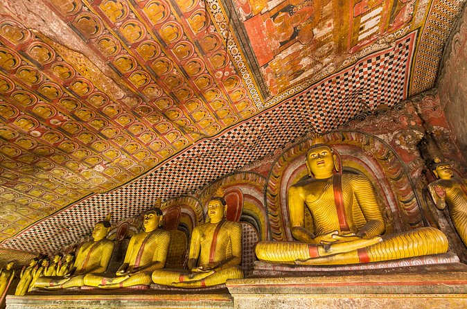 Sigiriya and Dambulla Day Tour from Kalutara All Inclusive - Guides, driving, and the private format