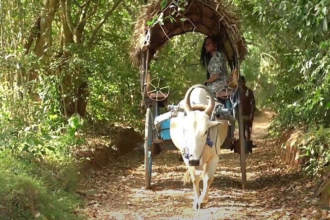 Sigiriya and Dambulla Private Day Tour by Tuk-Tuk or Car - What this private Sigiriya tour gets right