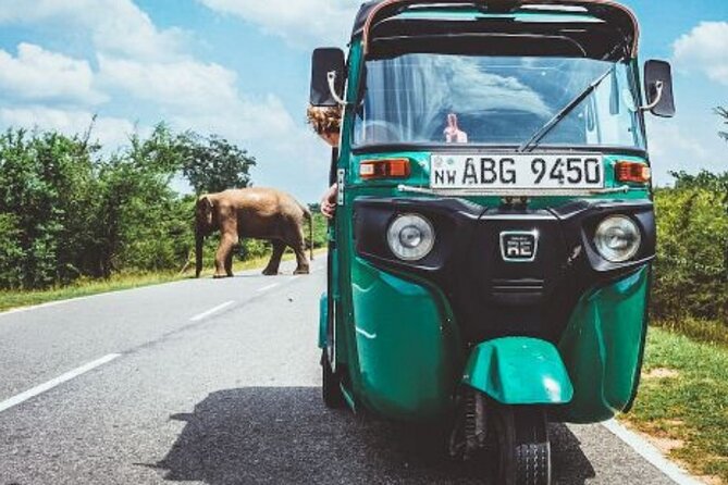 Sigiriya and Dambulla Private Day Tour by Tuk-Tuk or Car - Pahalagama Wewa and the best rock views