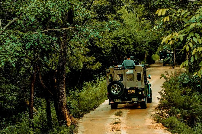 Sigiriya and Minneriya Great Escape - Why This Colombo Day Trip Works