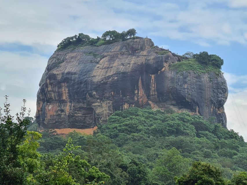 Sigiriya, Dambulla, and Village Safari Day Tour from Negombo - The $90 price and the real budget