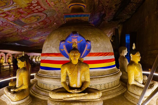 Sigiriya & Dambulla Day Tour from Hotels in Ahungalla/Bentota - Climbing Sigiriya Rock Fortress in two hours