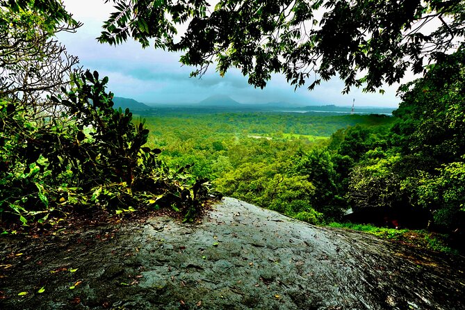 Sigiriya & Dambulla Day Tour from Hotels in Ahungalla/Bentota - What the guide and private format add